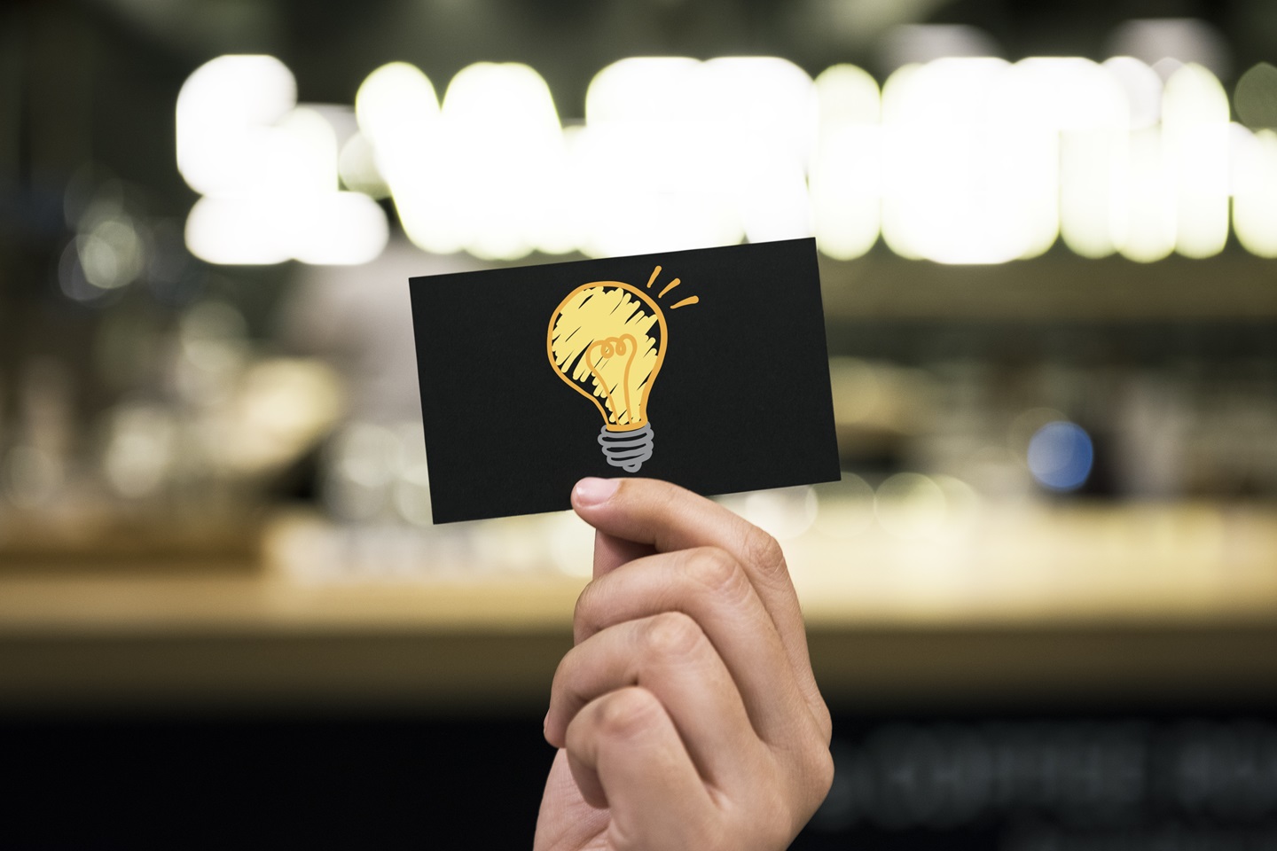 Person holding up lightbulb drawing